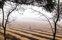 Qingzhou keeper of old times