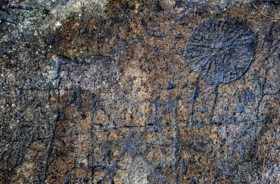 Experts gather in Zhejiang to study rock paintings