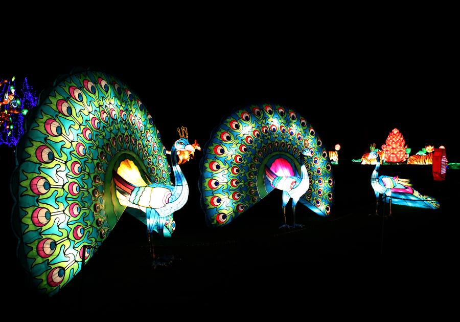 Chinese lantern festival to open in Britain