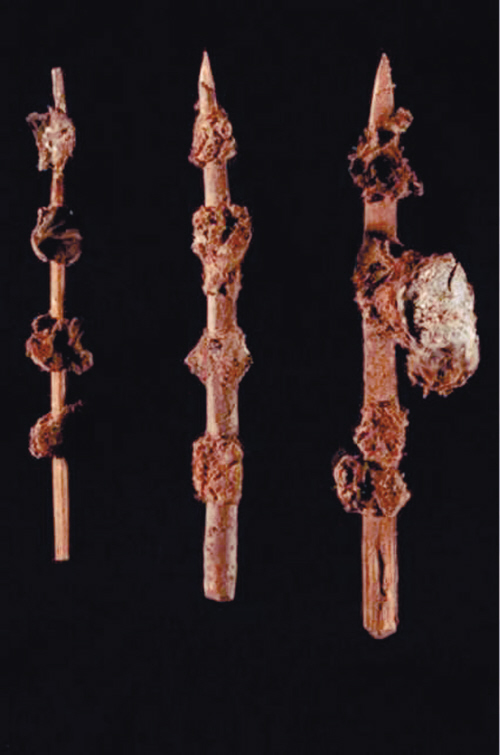 Culture Insider: What did people eat in ancient China?