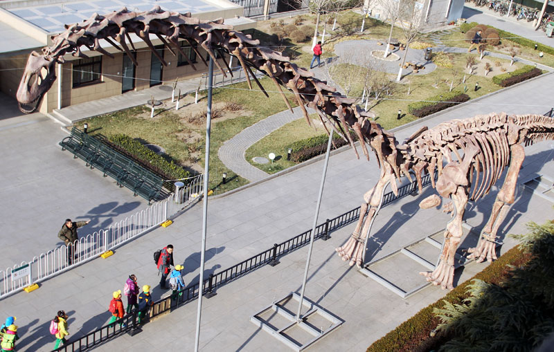 World's biggest dinosaur skeleton shown in Beijing