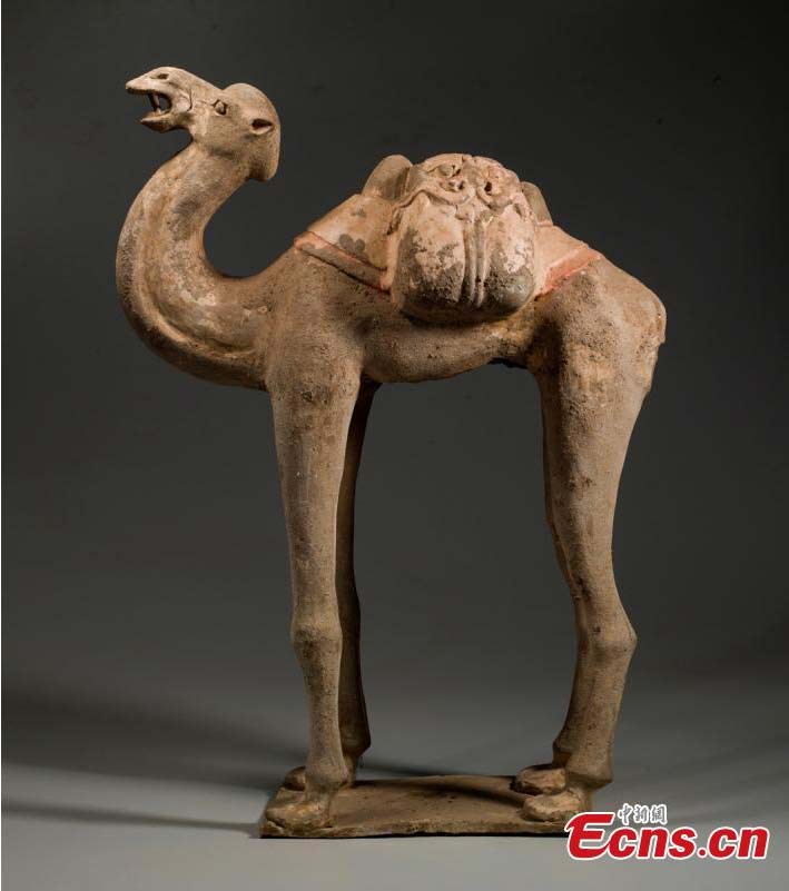 Colored pottery camel unearthed from Tang Dynasty tomb