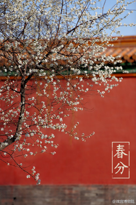 Photos reveal beauty of four seasons at Palace Museum (part 1)