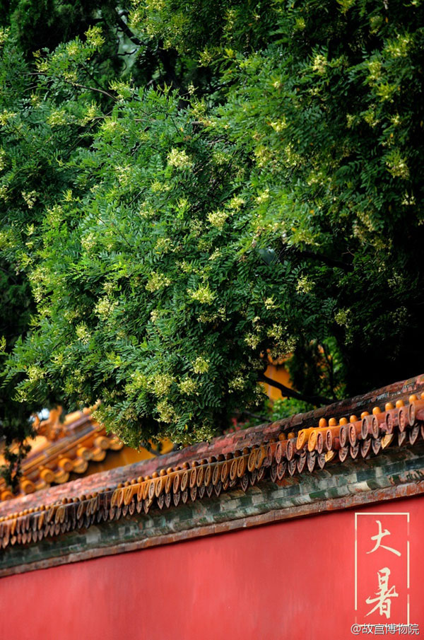 Photos reveal beauty of four seasons at Palace Museum (part 1)