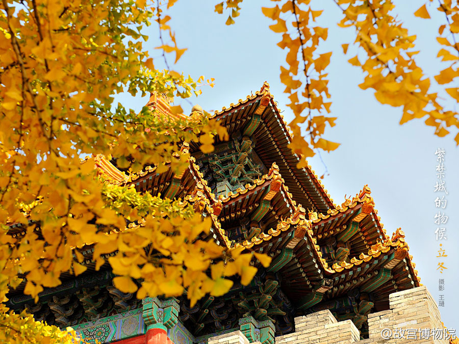 Photos reveal beauty of four seasons at Palace Museum