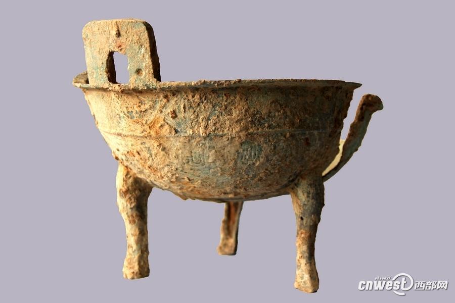 Rare horse and chariot pit found in Shaanxi