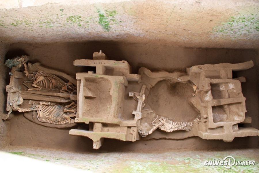 Rare horse and chariot pit found in Shaanxi