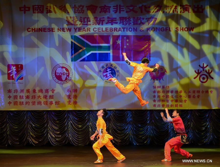 Chinese martial artists perform in kung fu show in S Africa