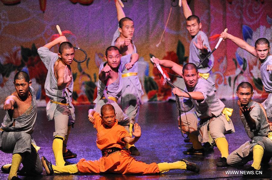 Martial arts presented to celebrate Spring Festival in Santiago