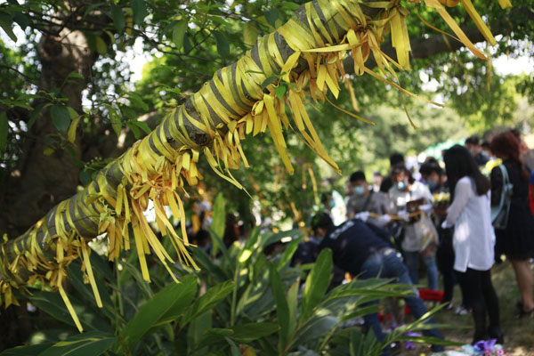 Green burials better accepted by Chinese people