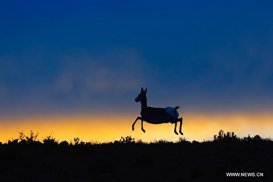 China's first nature image record released