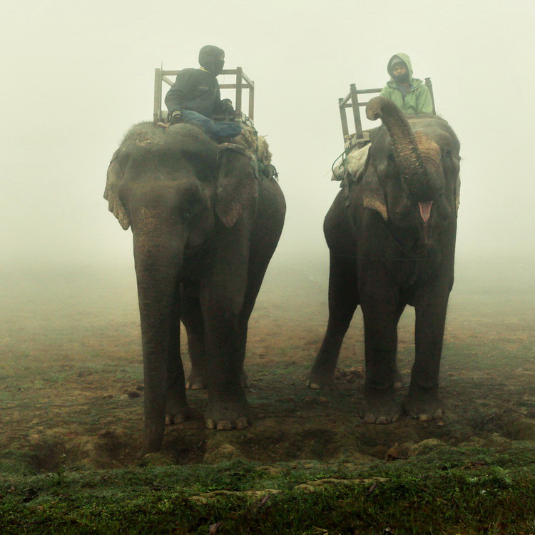 Photographers display beauty of pre-quake Nepal