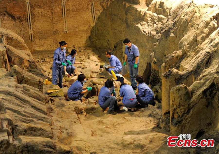 Terracotta Warrior Army site starts new excavation