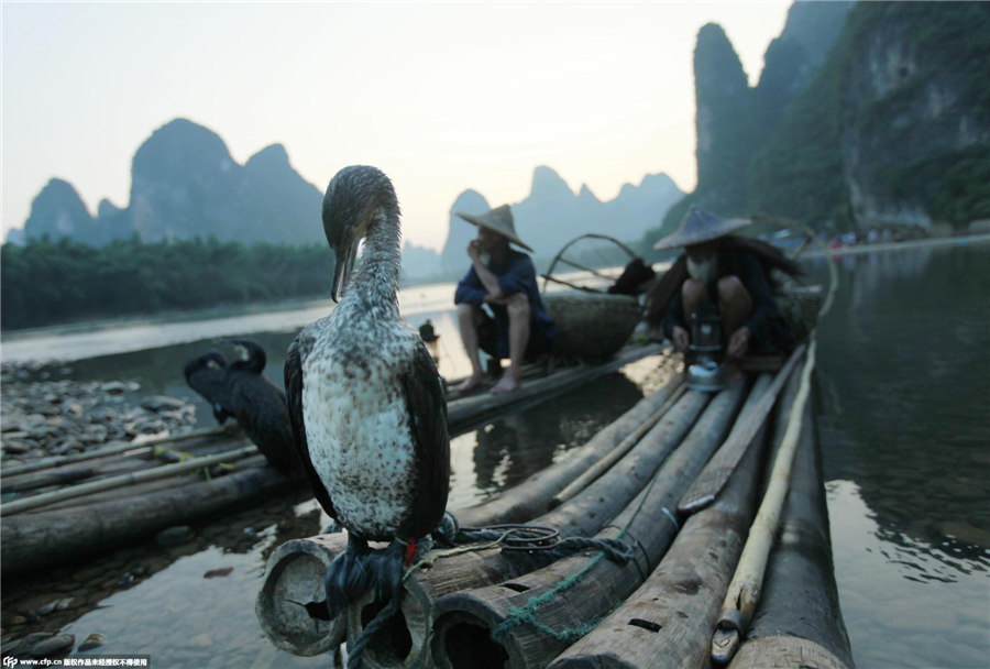 Grandfathers' model life on the Lijiang River