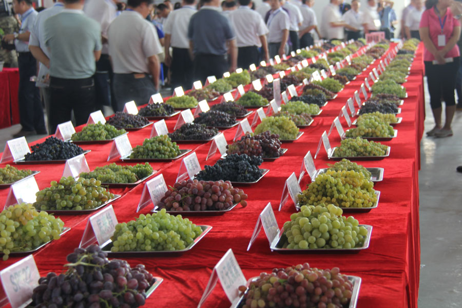 Grape festival kicks off in Turpan[5]