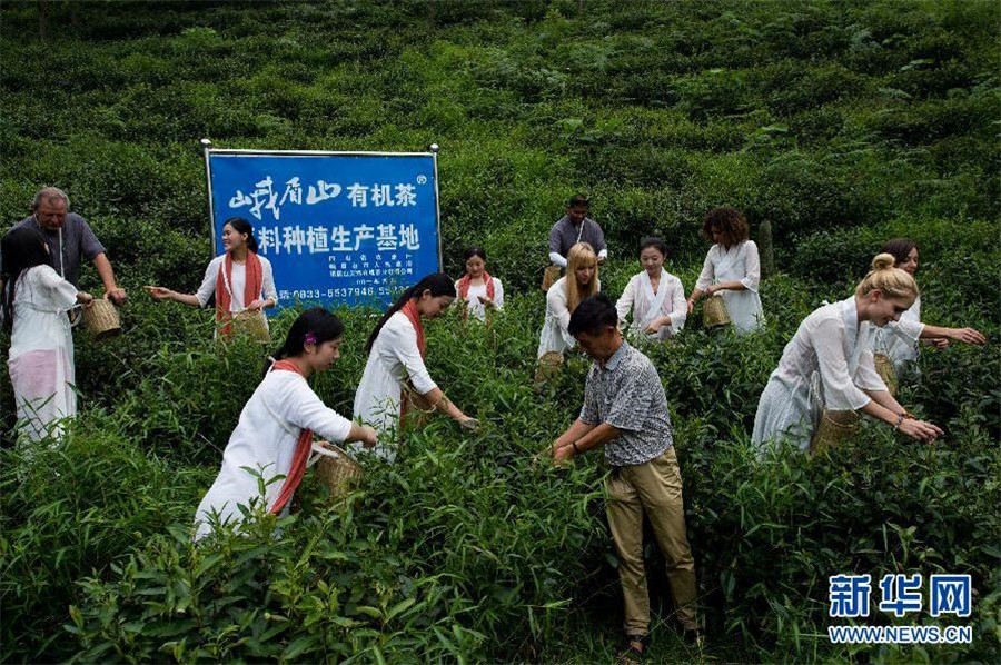 European panda fans taste Chinese tea culture