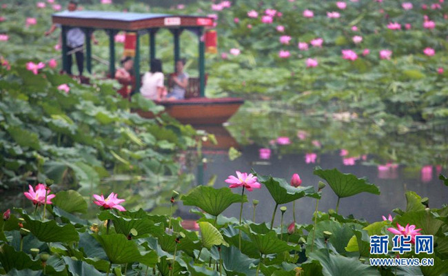 More than 1,000 Beijing historic gardens, parks lack overall protection