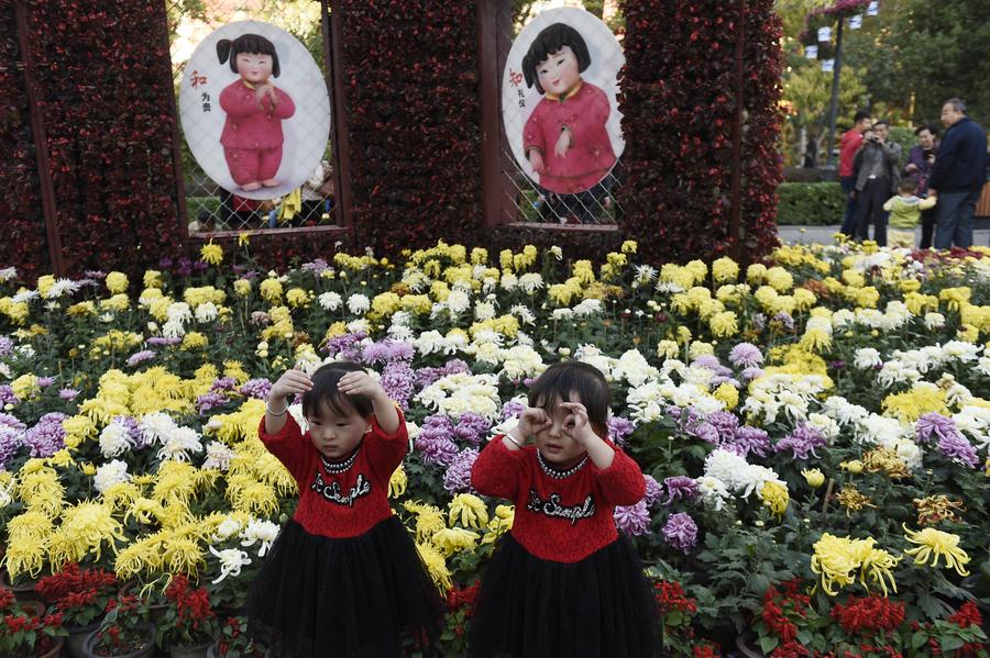 Chrysanthemum exhibitions attract tourists across China
