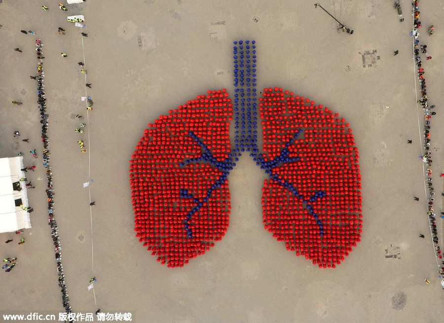 China claims world record for largest human organ image