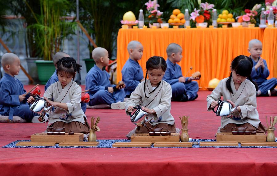 Wuyishan Mountain holds zen-tea cultural festival