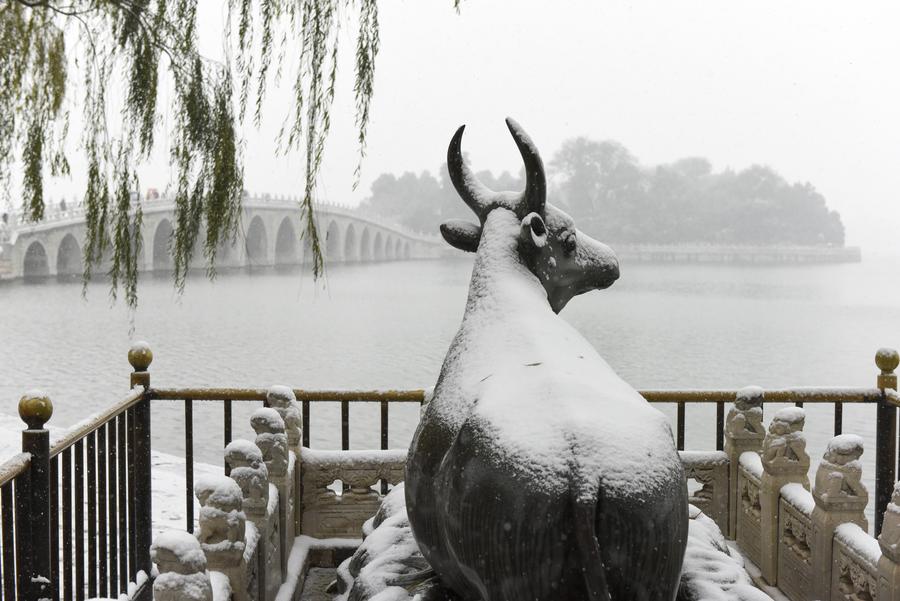 Snowfall brings beauty in Beijing winter