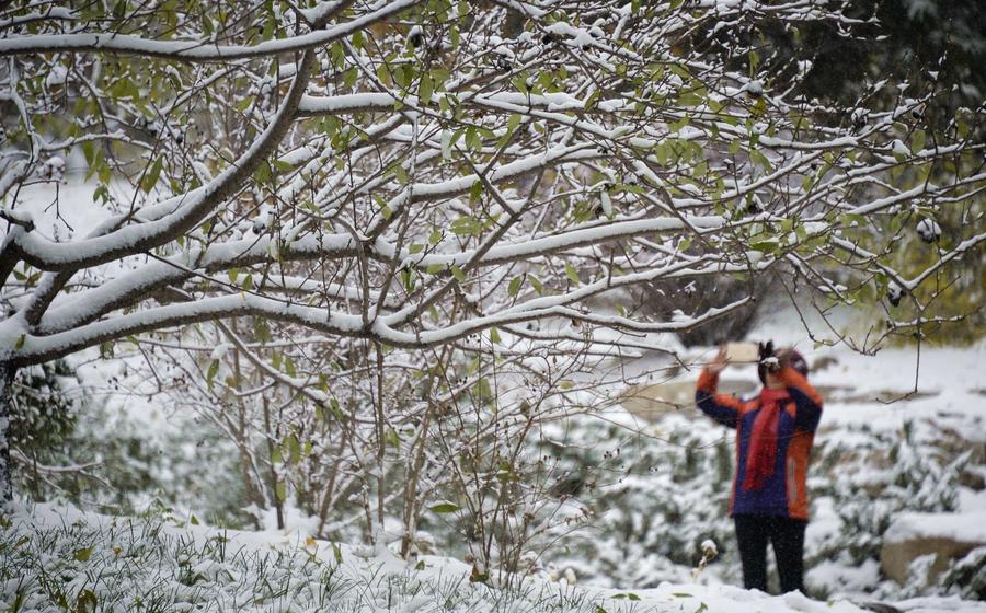 Snowfall brings beauty in Beijing winter