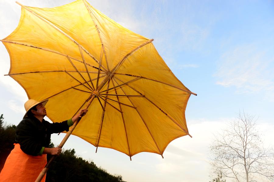 The beauty of traditional Anhui oilcloth umbrella