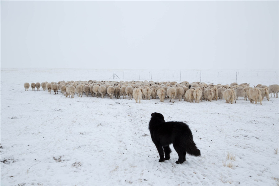 'Road to the Homeland' folk photography exhibition on display