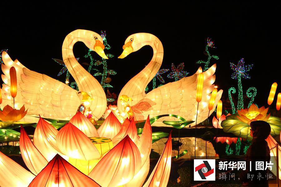 Chinese lantern show wows California