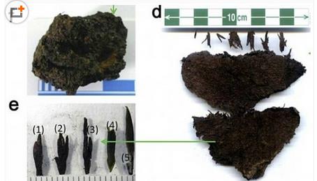 Oldest tea found in Chinese royal tomb