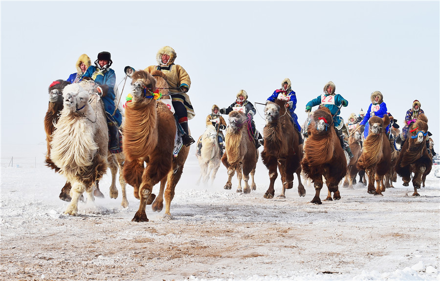 Nadam Festival begins in Inner Mongolia