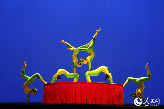 Grand show staged in Poland to mark Chinese Lunar New Year