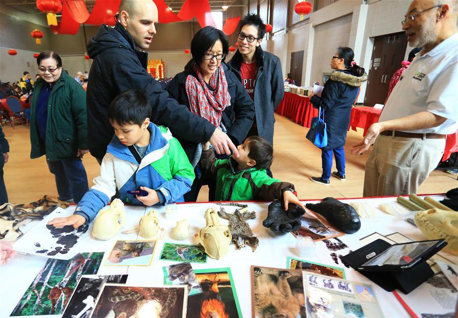 2016 Chinese New Year Celebration event held in Toronto