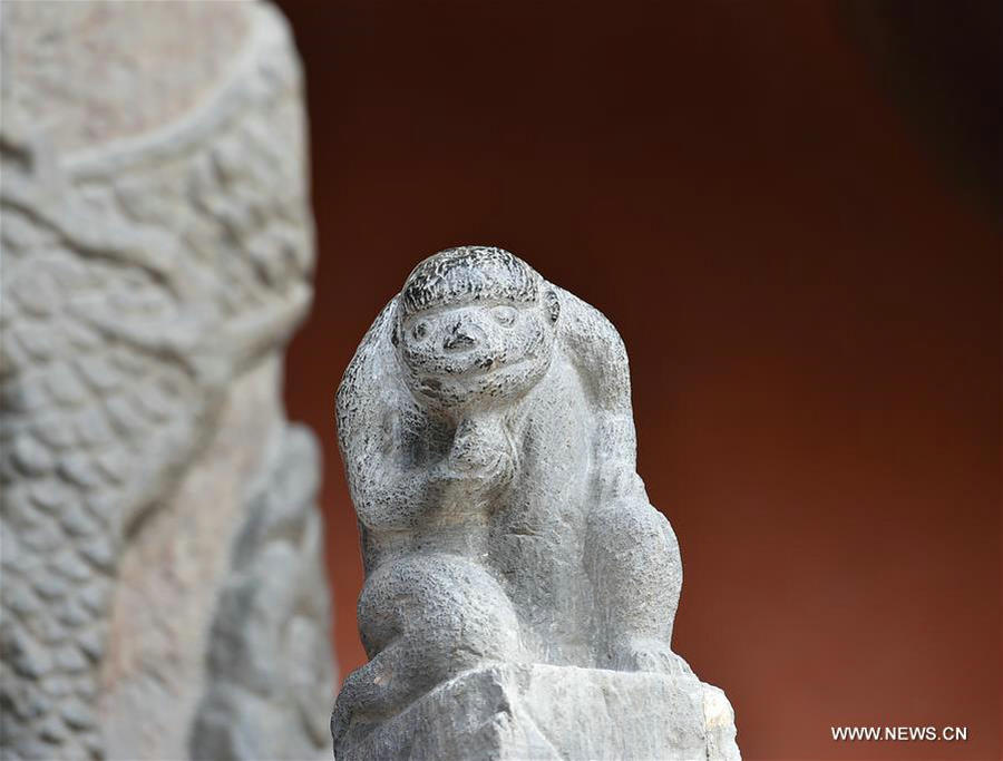 Stone monkey carvings attract crowds