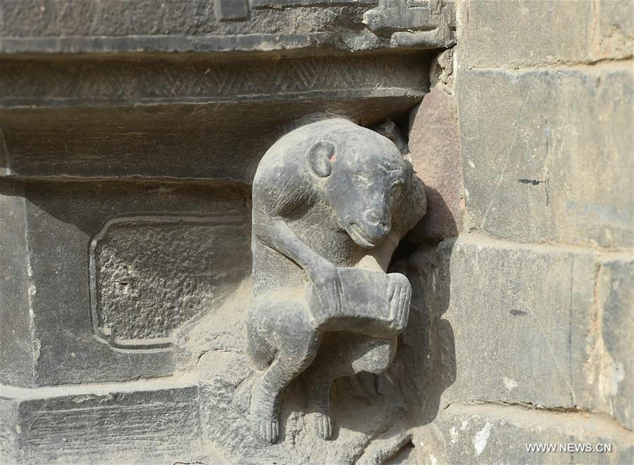 Stone monkey carvings attract crowds