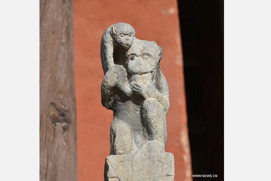 Stone monkey carvings attract crowds