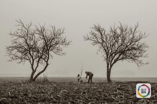 Chinese photographers scoop Dubai awards