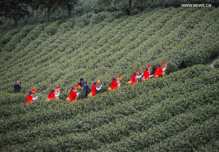 Tea farmers celebrate harvest in Zhejiang