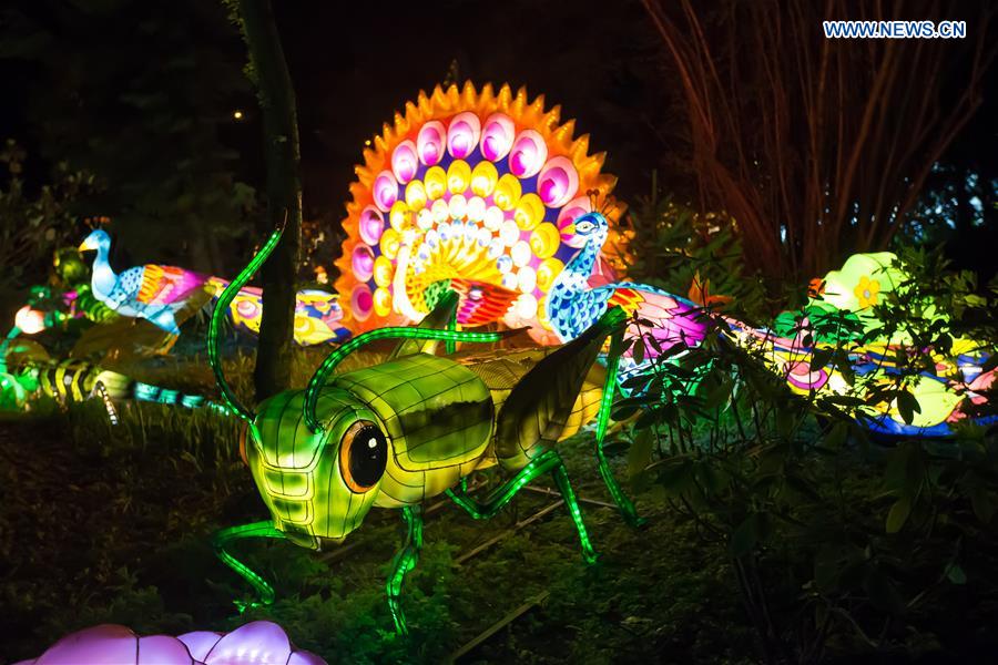 Budapest zoo hosts Chinese lantern festival