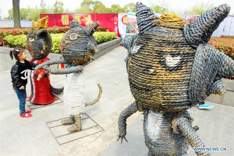 Scarecrow Cultural Tourism Festival held in Suzhou