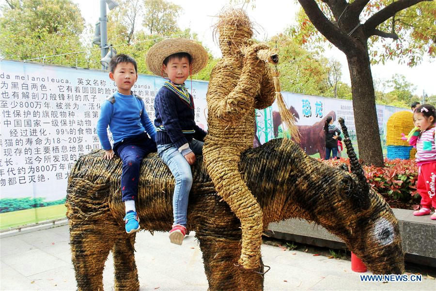 Scarecrow Cultural Tourism Festival held in Suzhou