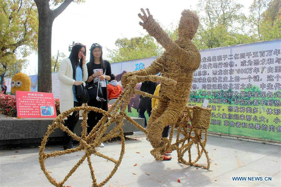 Scarecrow Cultural Tourism Festival held in Suzhou