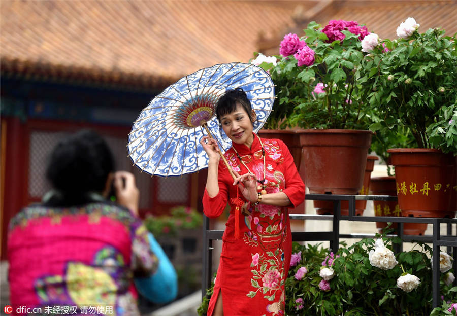 Palace Museum stages peony flower-themed exhibition