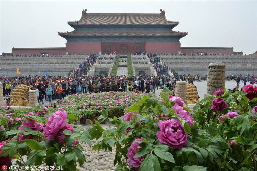 Palace Museum stages peony flower-themed exhibition