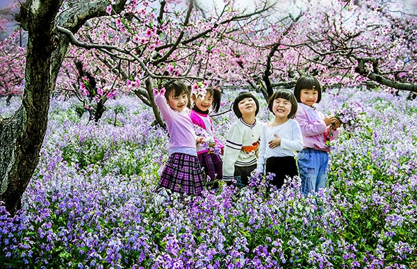 Beijing music fest celebrates peach-blossom beauty