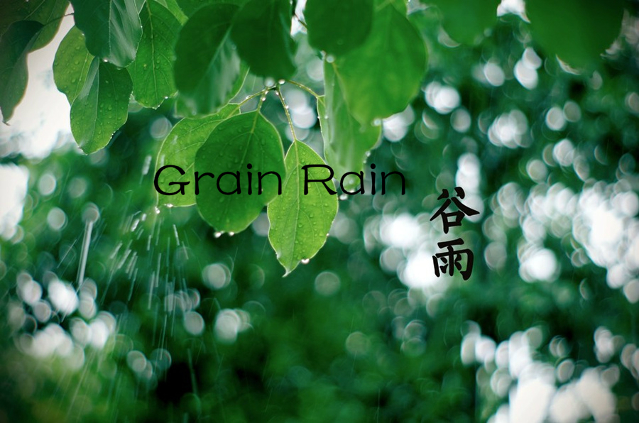 24 Solar Terms: 5 things you may not know about Grain Rain