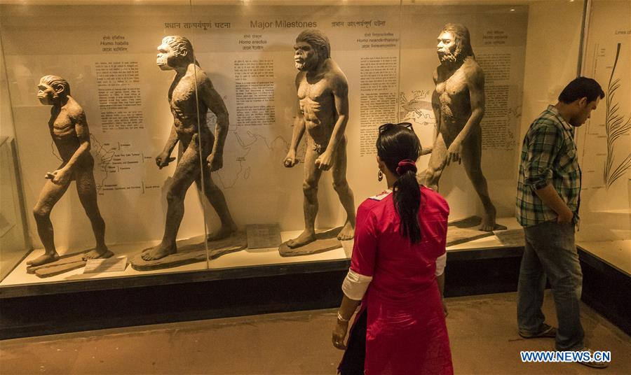 Int'l Museum Day marked around world