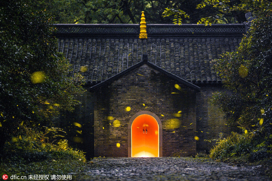 Magical firefly-lit shots of Nanjing Linggu Temple