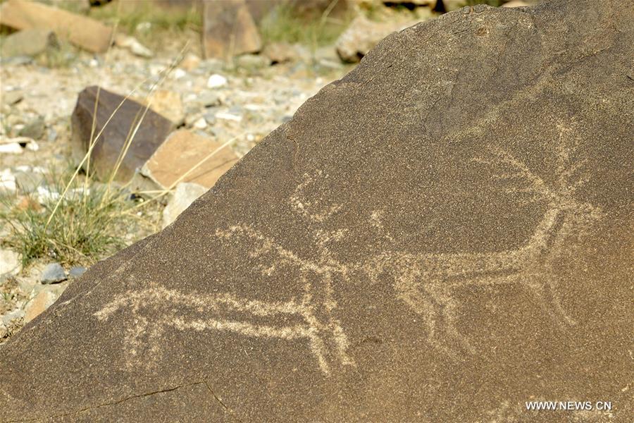 Over 1,000 cliff paintings found in Inner Mongolia