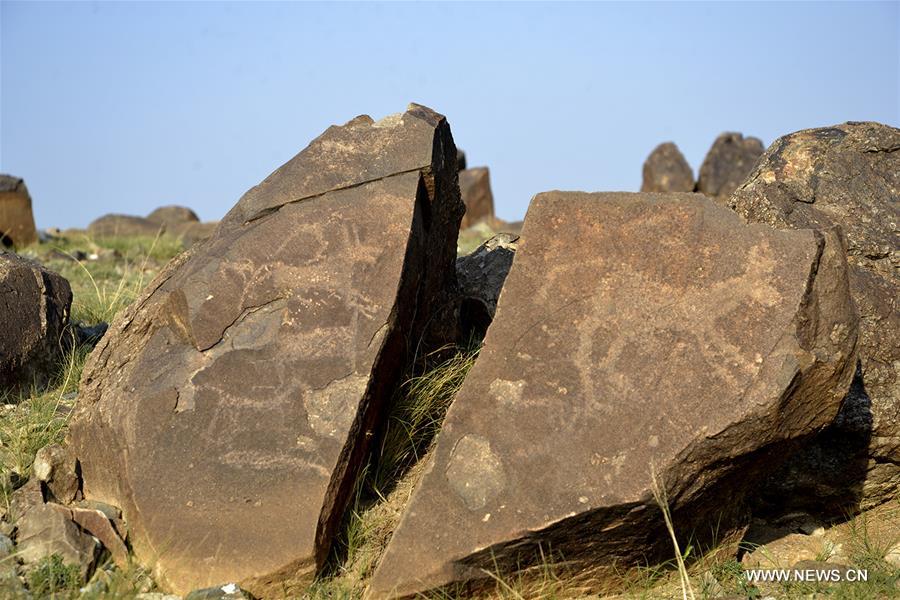Over 1,000 cliff paintings found in Inner Mongolia